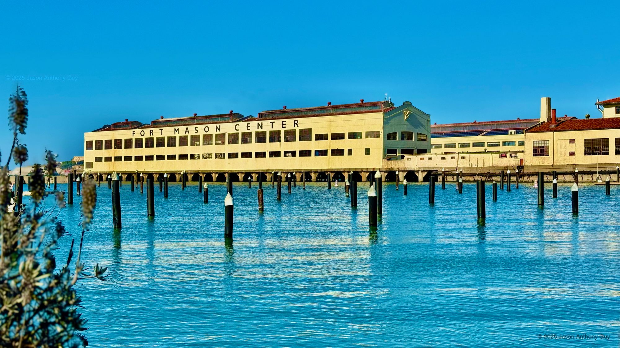 The Fort Mason Center glows yellow beneath the bright blue San Francisco sky. Brown mooring stakes with white tips rise from the blue water of the marina beneath it.