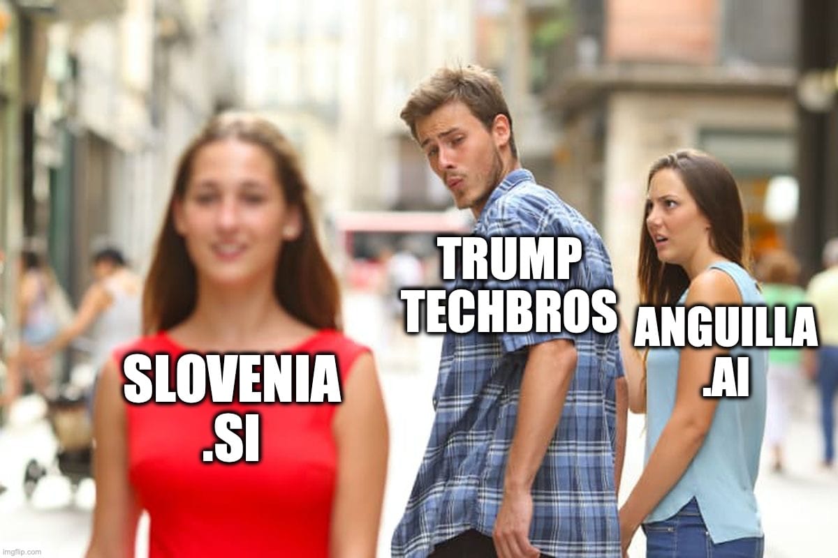 The “distracted boyfriend” meme, with the angry girlfriend labeled “Anguilla (.ai),” the distracted boyfriend labeled “Trump Techbros,” and the object of attention labeled “Slovenia (.si).”